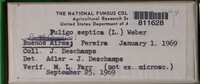 Image Associated With the Occurence